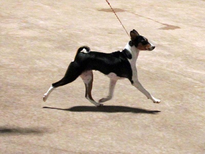 Of swala pala - MONDIALE 2011